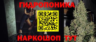 ПСИЛОЦИБИНОВЫЕ ГРИБЫ Тара