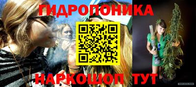 молекула духа Ставрополь