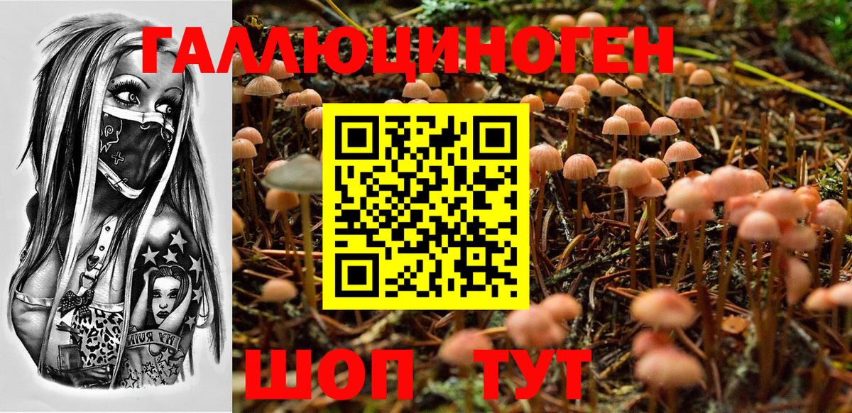 Галлюциногенные грибы мухоморы Москва
